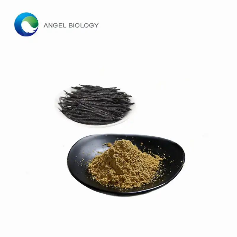 Does Broadleaf Holly Extract Have Antioxidant Properties?